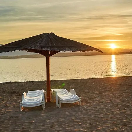 Apartament Cozy In 60 M² With Shared Pool Palm-mar