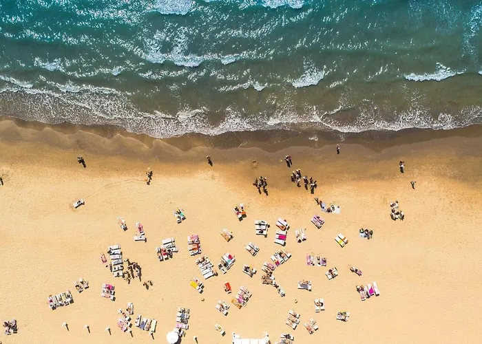 Cozy In 60 M² With Shared Pool パルム・マール